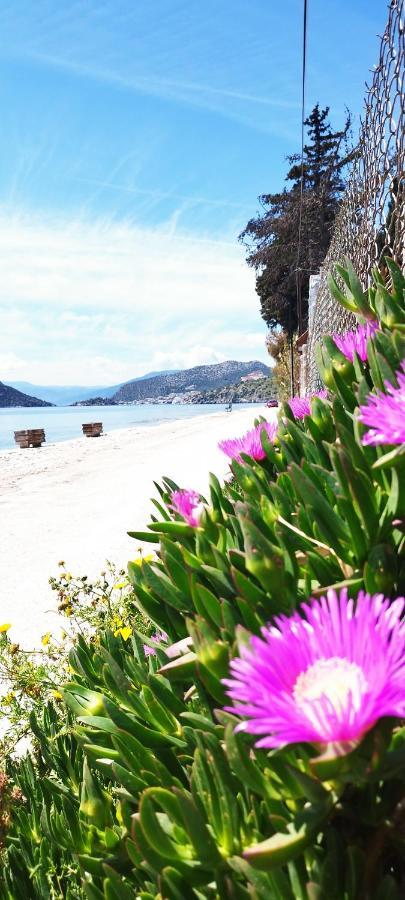 Vice Versa Elegant Studio 1 Nafplio Ngoại thất bức ảnh